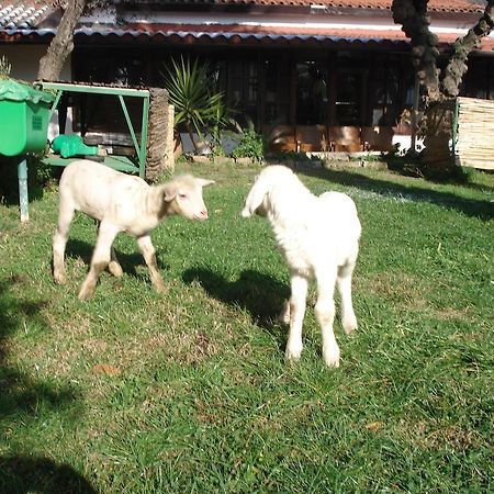 Вилла Agriturismo La Vecchia Дольчеаккуа Экстерьер фото